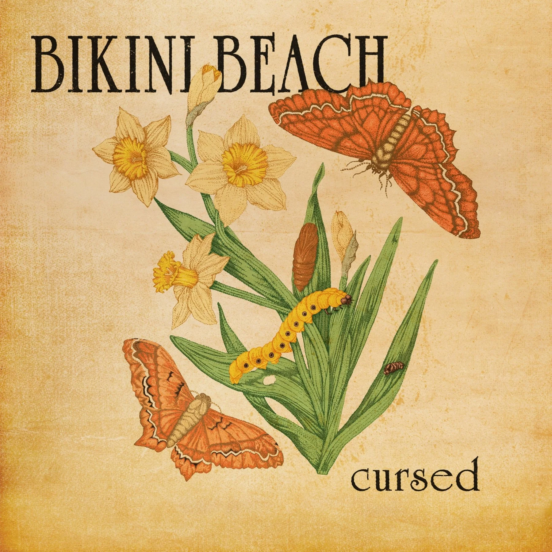 Bikini Beach - Cursed - Image 2