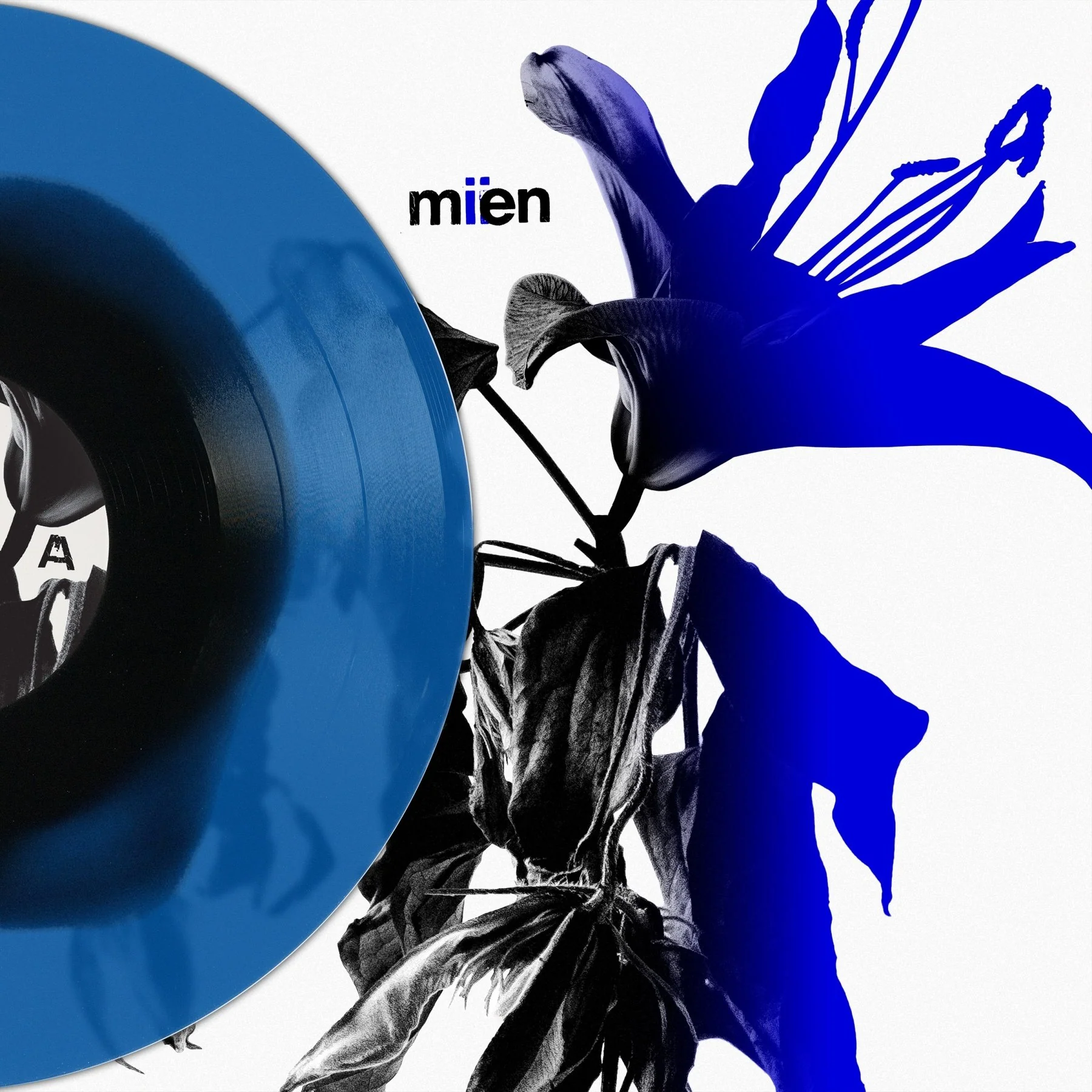 MIEN - MIIEN (Levitation Edition)