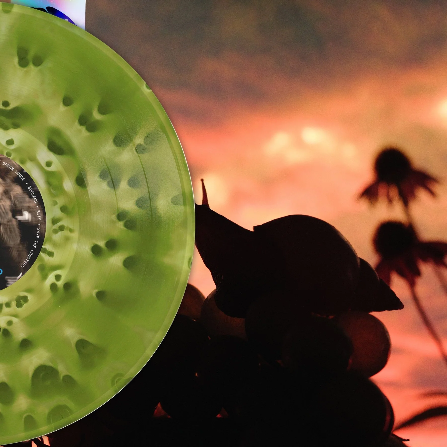 No Joy - Bugland (Levitation Edition)
