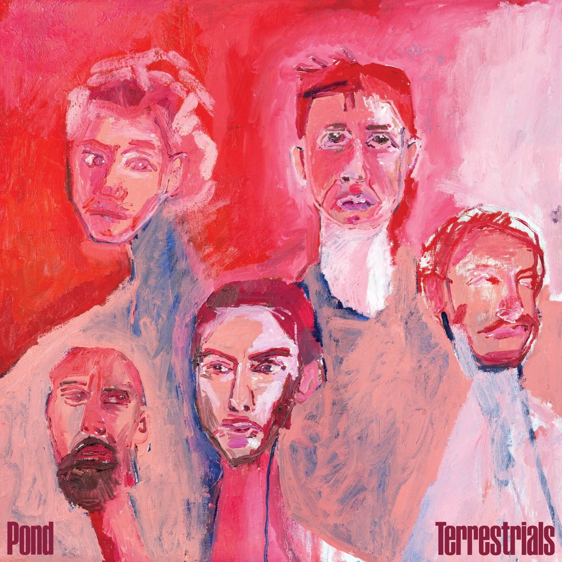 Pond - Terrestrials (Levitation Edition) - Image 4