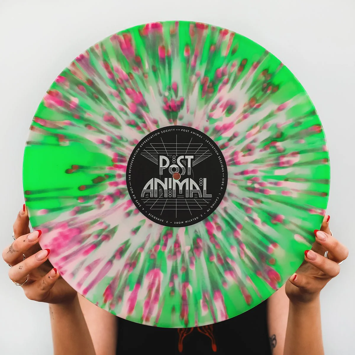Post Animal - Levitation Sessions LP