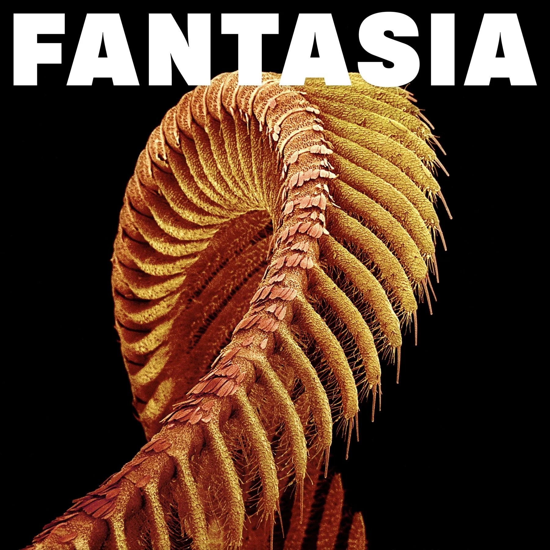 SLIFT - Fantasia - 2xLP (Levitation Edition) - Image 4