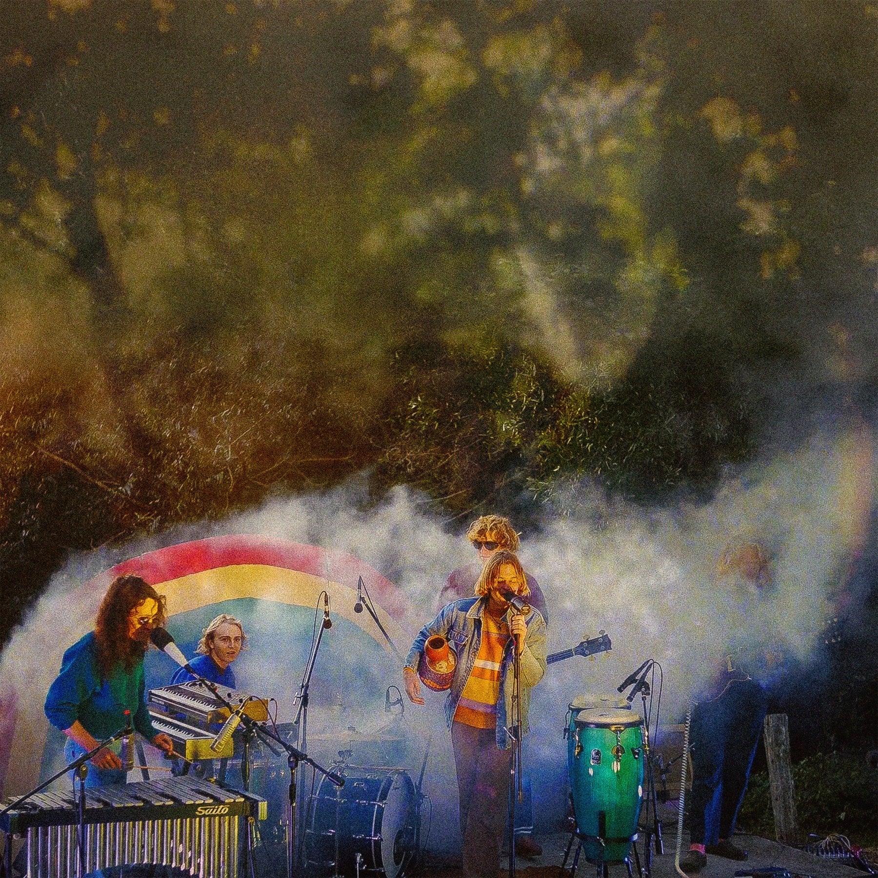 The Babe Rainbow - Levitation Sessions LP - Image 5